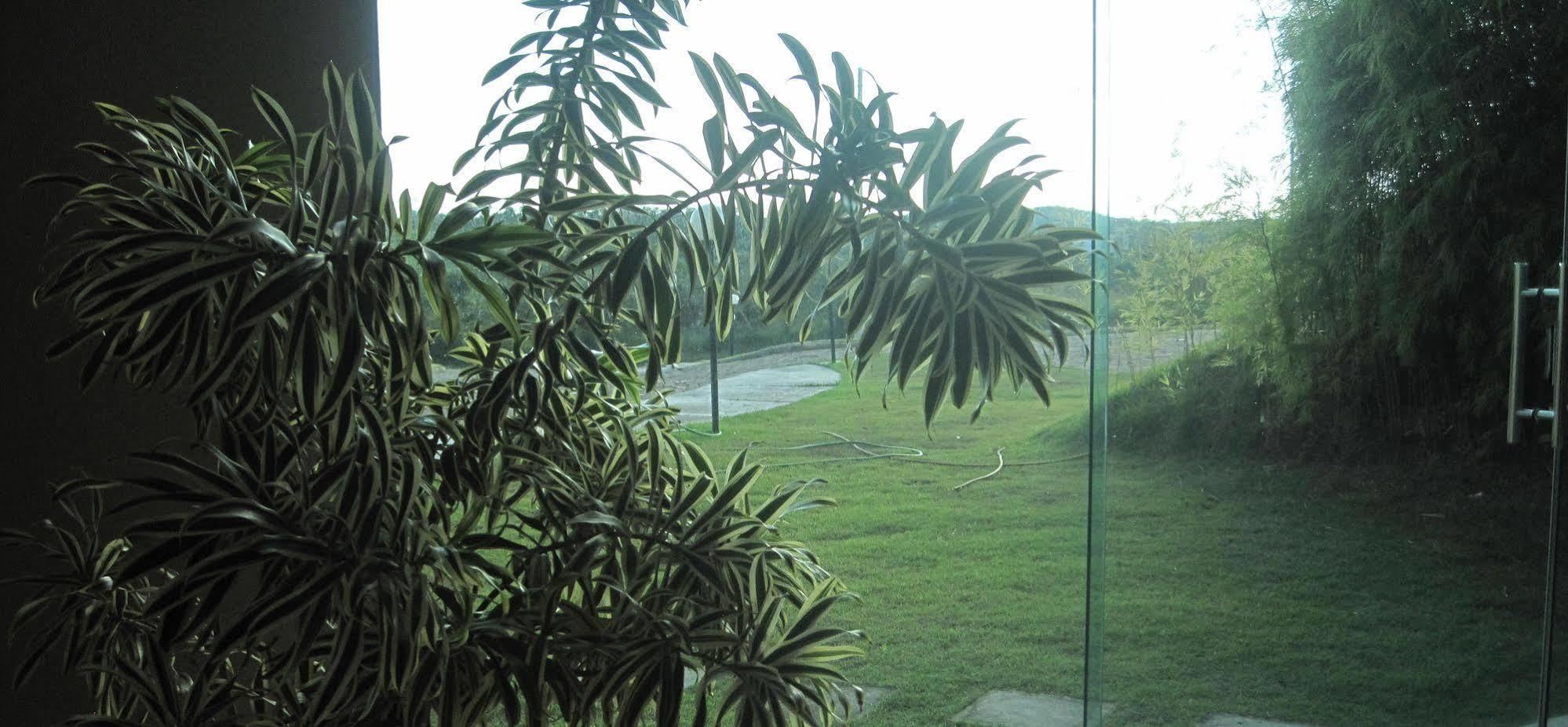 Mirante São Brás